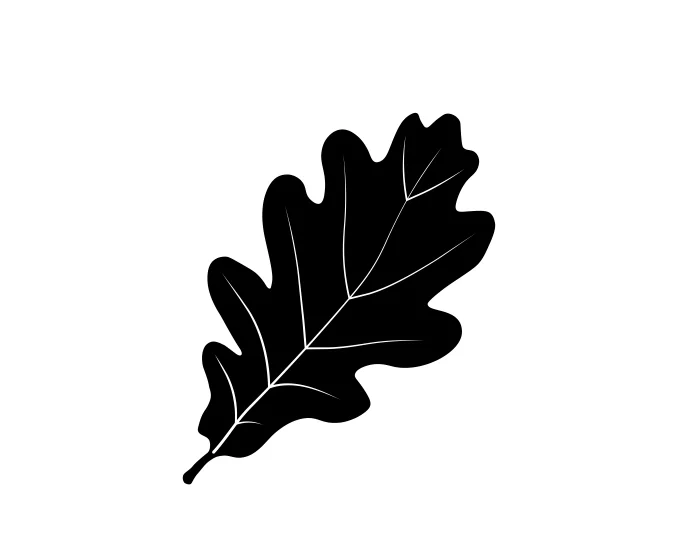 noun_948636_cc.png