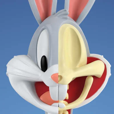Jason Freeny Anatomical Wabbit for Kidrobot
