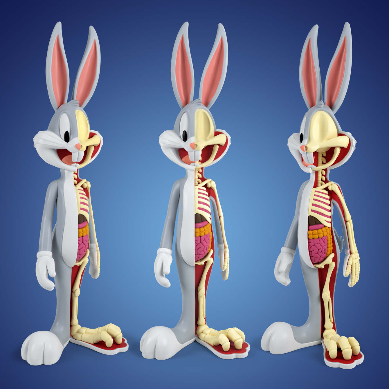 Kidrobot x Jason Freeny gallery Anatomical Wabbit Bunny1_1340_c.jpg