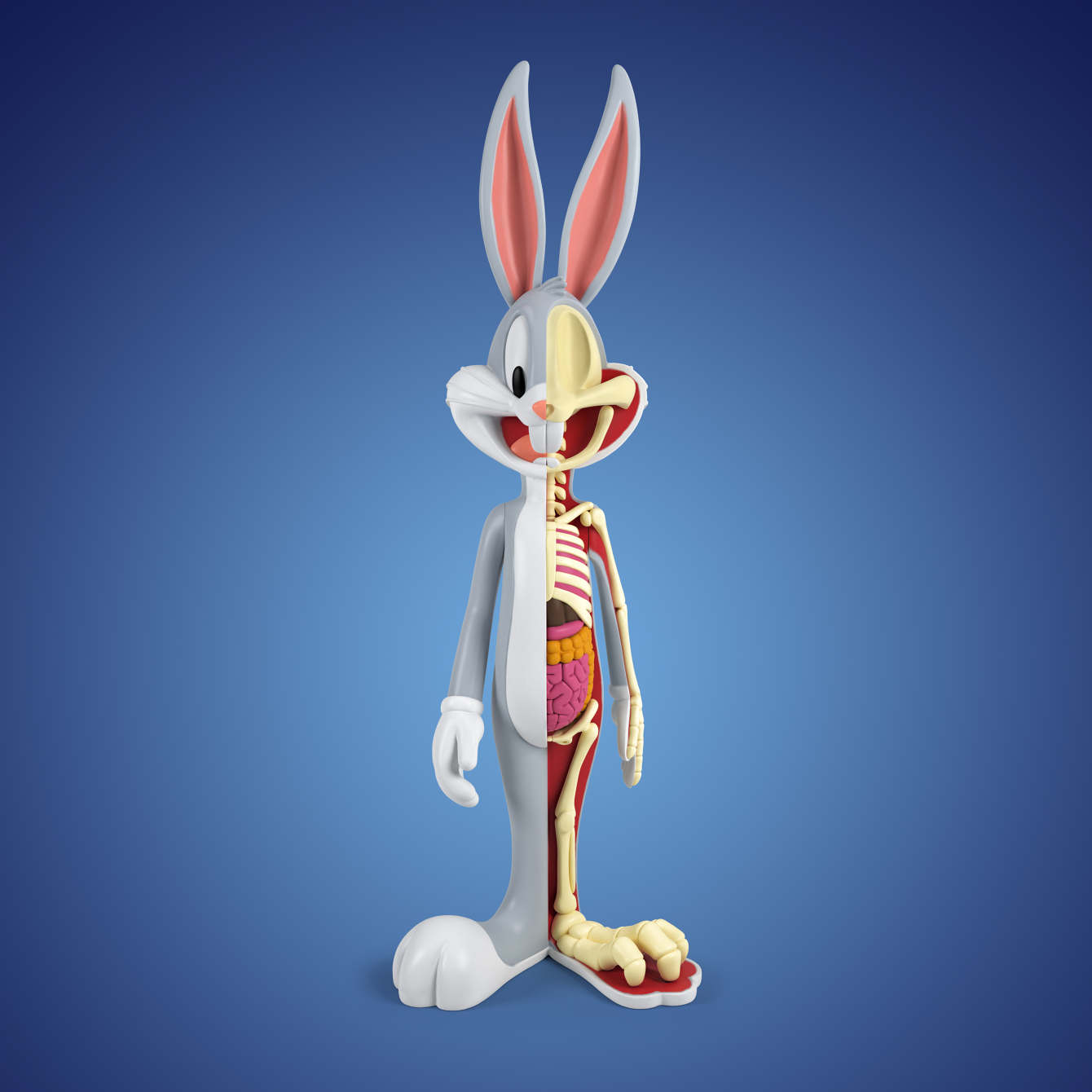 Kidrobot x Jason Freeny gallery Anatomical Wabbit Bunny_1340_c.jpg