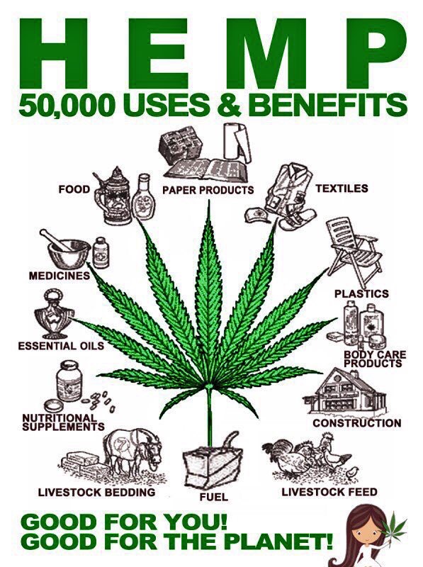 The wonders of Hemp
