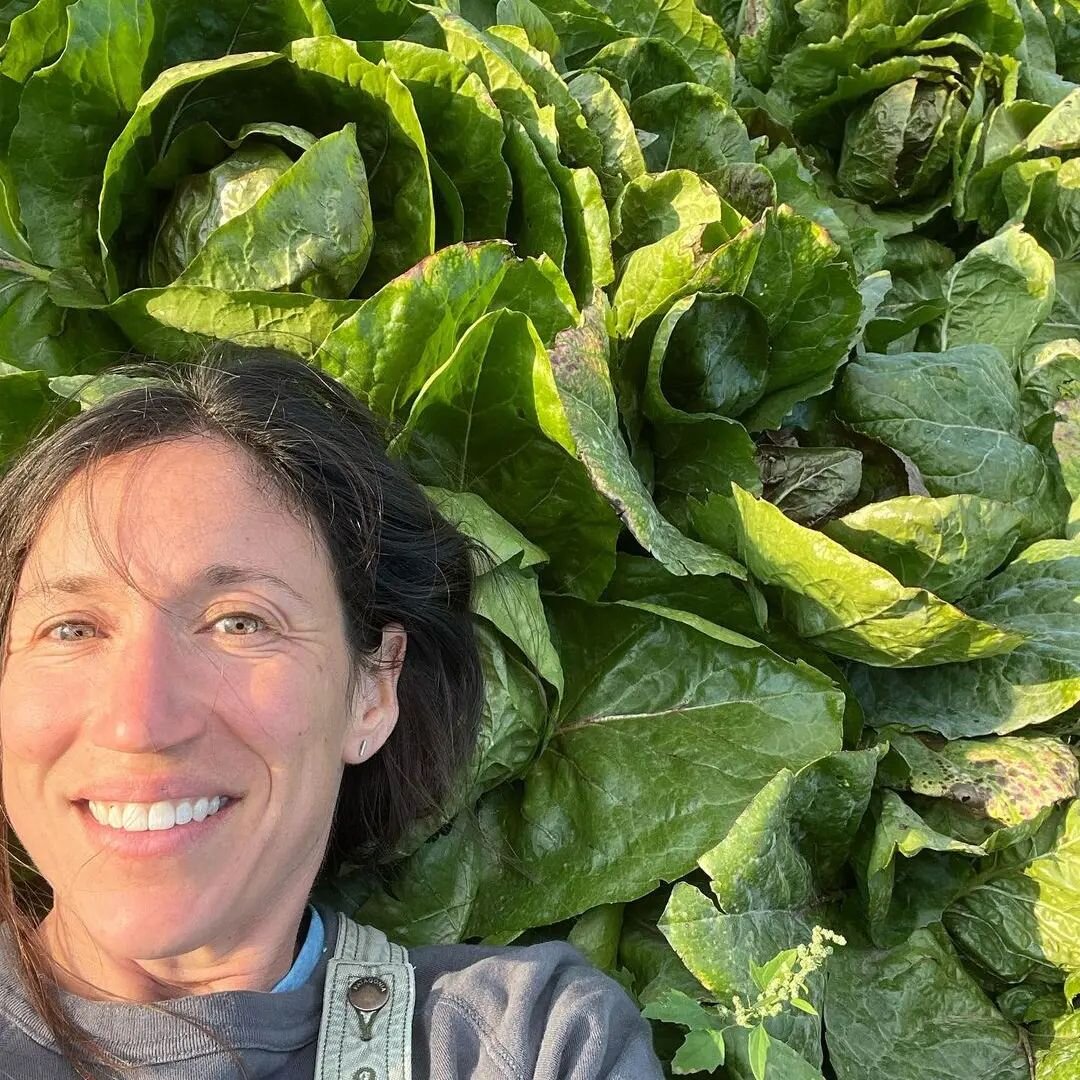 Celebrate this beautiful season and harvest with Coriander Kitchen and Farm 😍. 

Reposting from @coriander_det
Y&rsquo;all know how much Gwen loves chicories, right? Like a dream was achieved when she could rest her head beside these beautiful pasqu