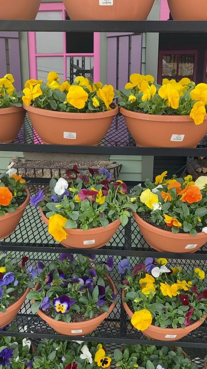 The Produce Station Ann Arbor, Michigan