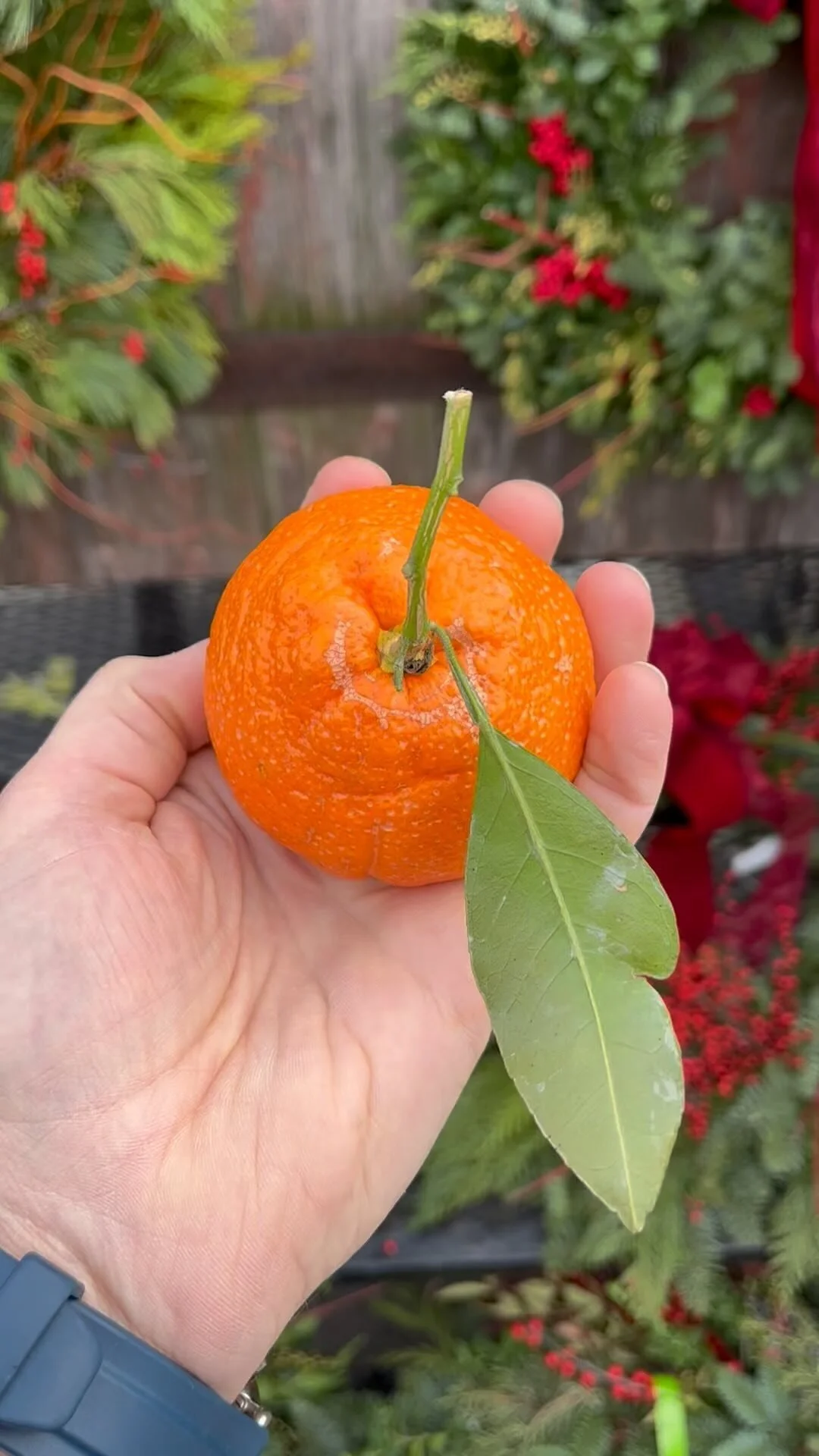 The Produce Station Ann Arbor, Michigan