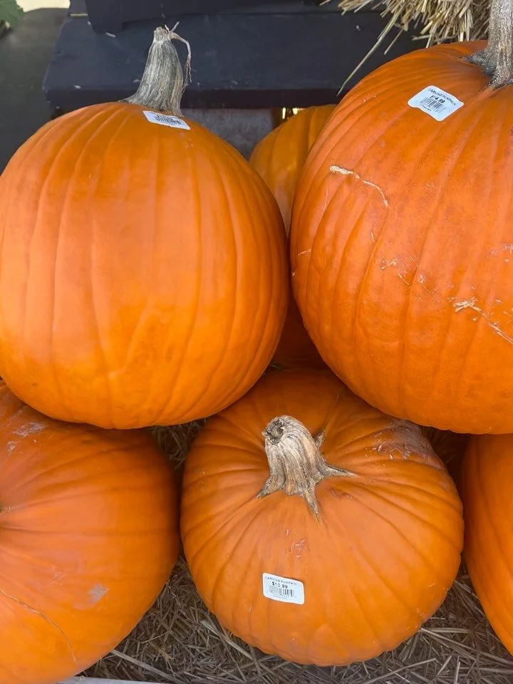 Hello Ann Arbor! We still have a great selection of Pumpkins π of all sizes for all of your carving needs! 
#annarbor