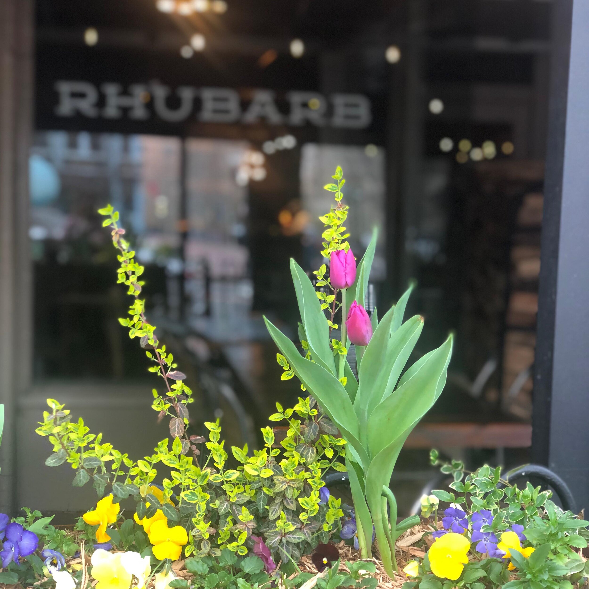 Spring is in bloom 🌷 on the patio, and on our menu!

Whether people watching in Pack Square on our covered patio, beholding the bourbon selection at the bar, or gathered around a table in the dining room, you can enjoy the bounty of the season at Rh
