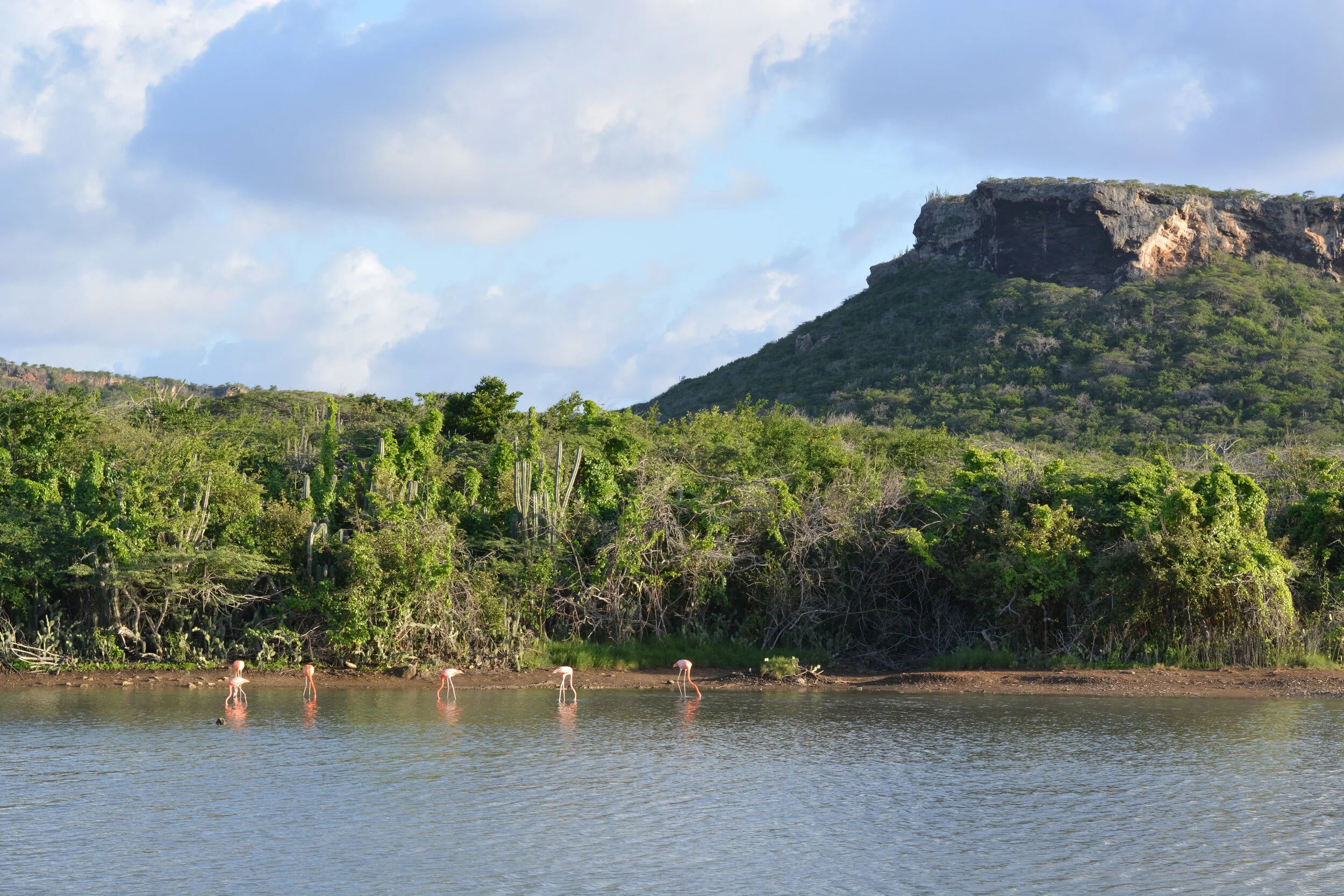 Top 5 des activités à ne pas rater à Curaçao