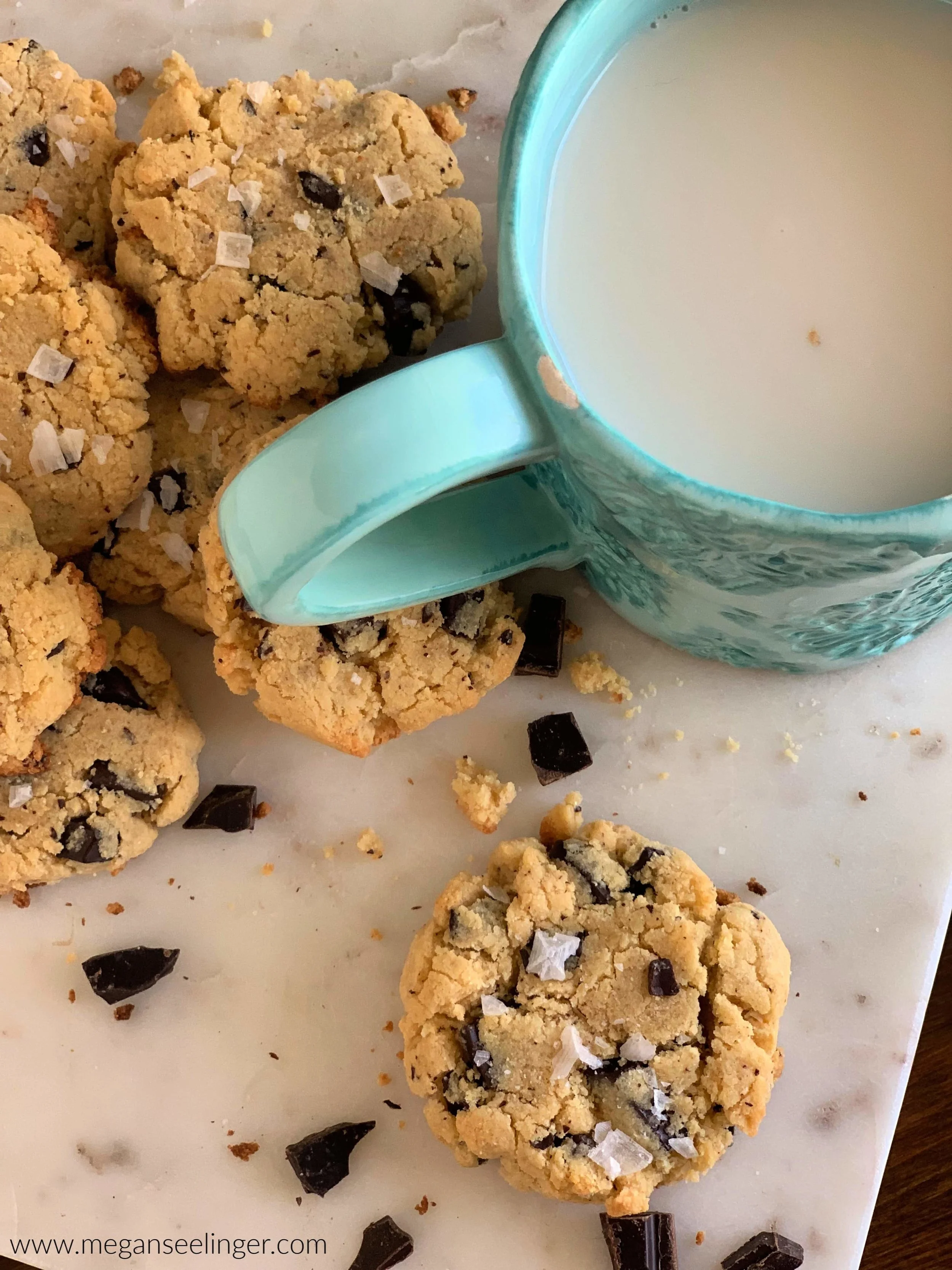 Coconut Flour SugarFree Chocolate Chip Cookies — Megan Rose Wellness