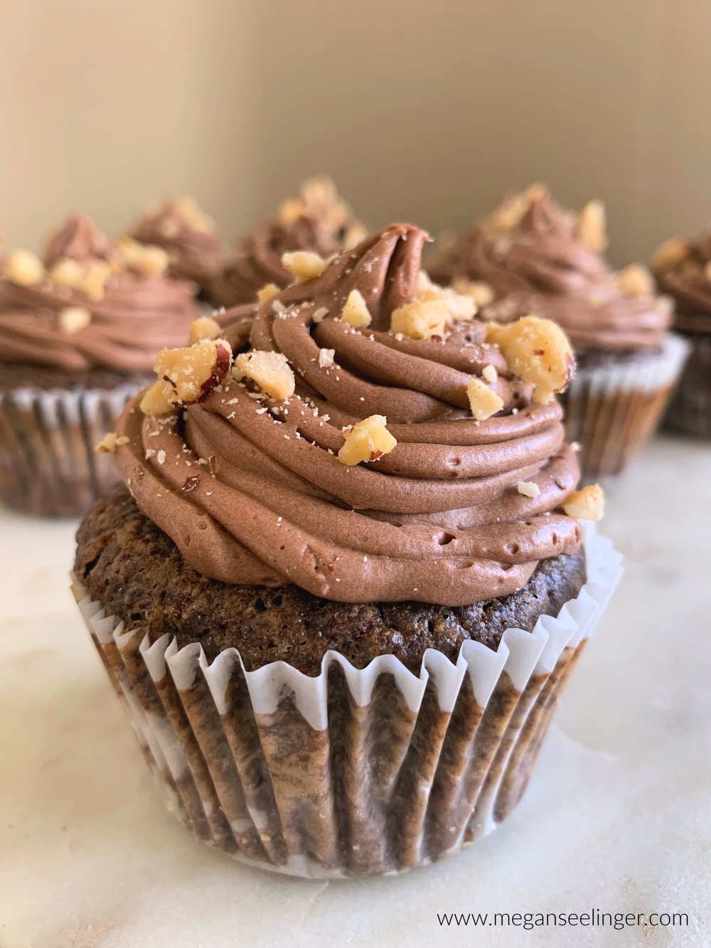 Chocolate Cupcakes With Chocolate Hazelnut Frosting