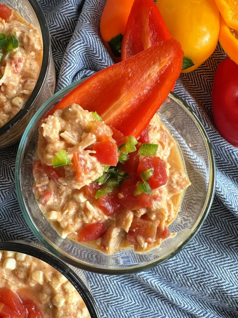 Easy 2 minute chicken queso dip with cottage cheese and 27g protein. A low carb, high protein snack perfect for weight loss and quick meals.