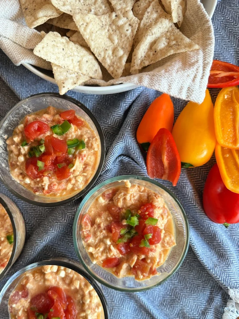 Easy 2 minute chicken queso dip with cottage cheese and 27g protein. A low carb, high protein snack perfect for weight loss and quick meals.