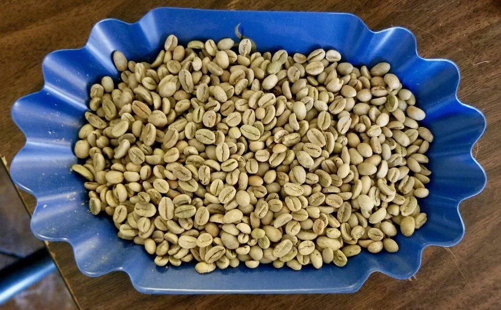 Green Beans.jpg