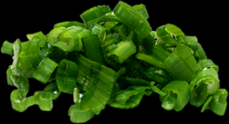 scallion.png