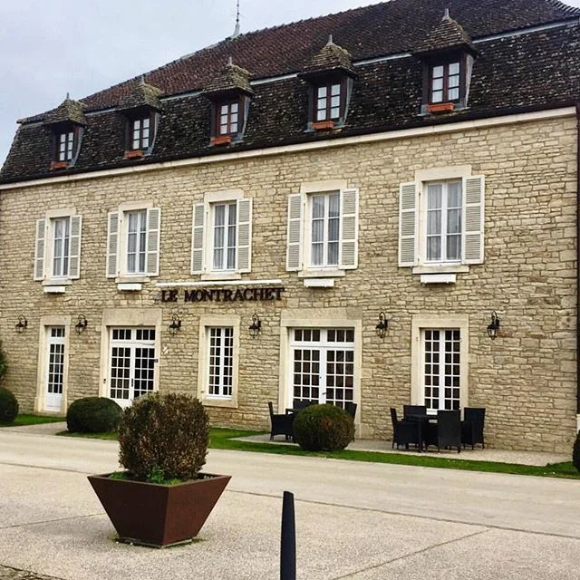 Beautiful photo snapped by @qutepoly ✨