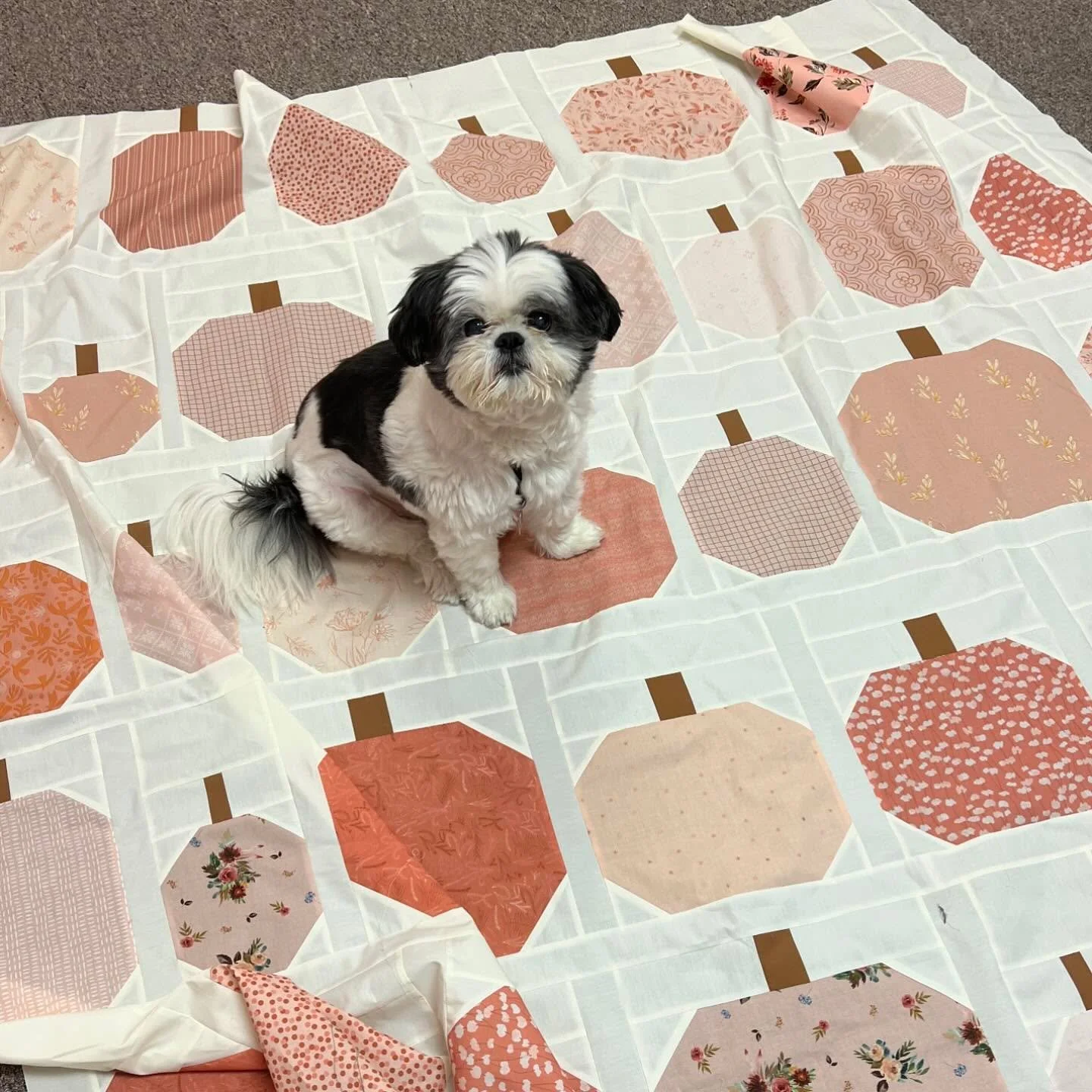 This is Bandit. He was the best quilt tester and craft room helper. He was with me every day in my sewing room. We had to say goodbye to him recently and I miss him terribly. He was a great dog!