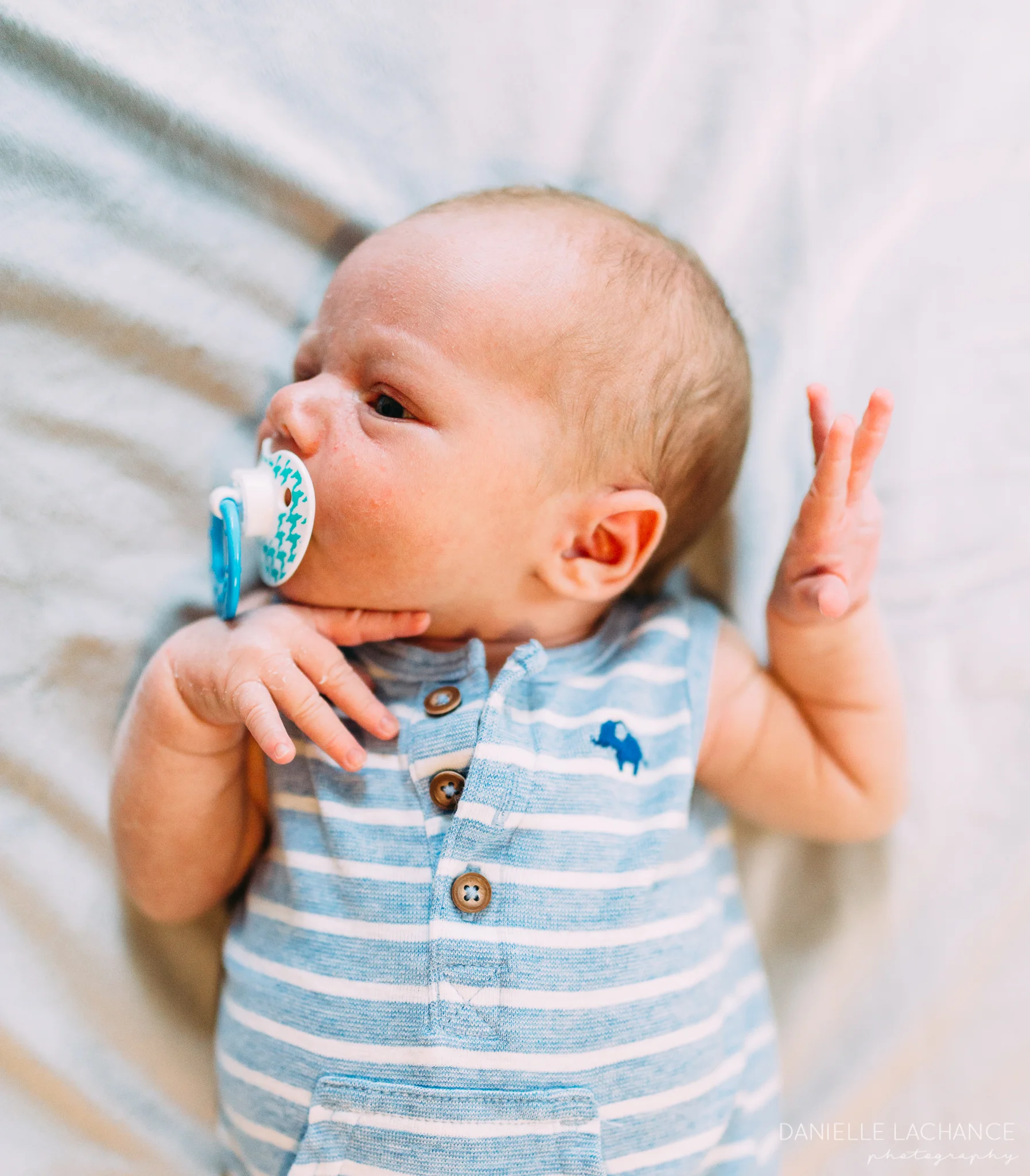 maine newborn photographer 