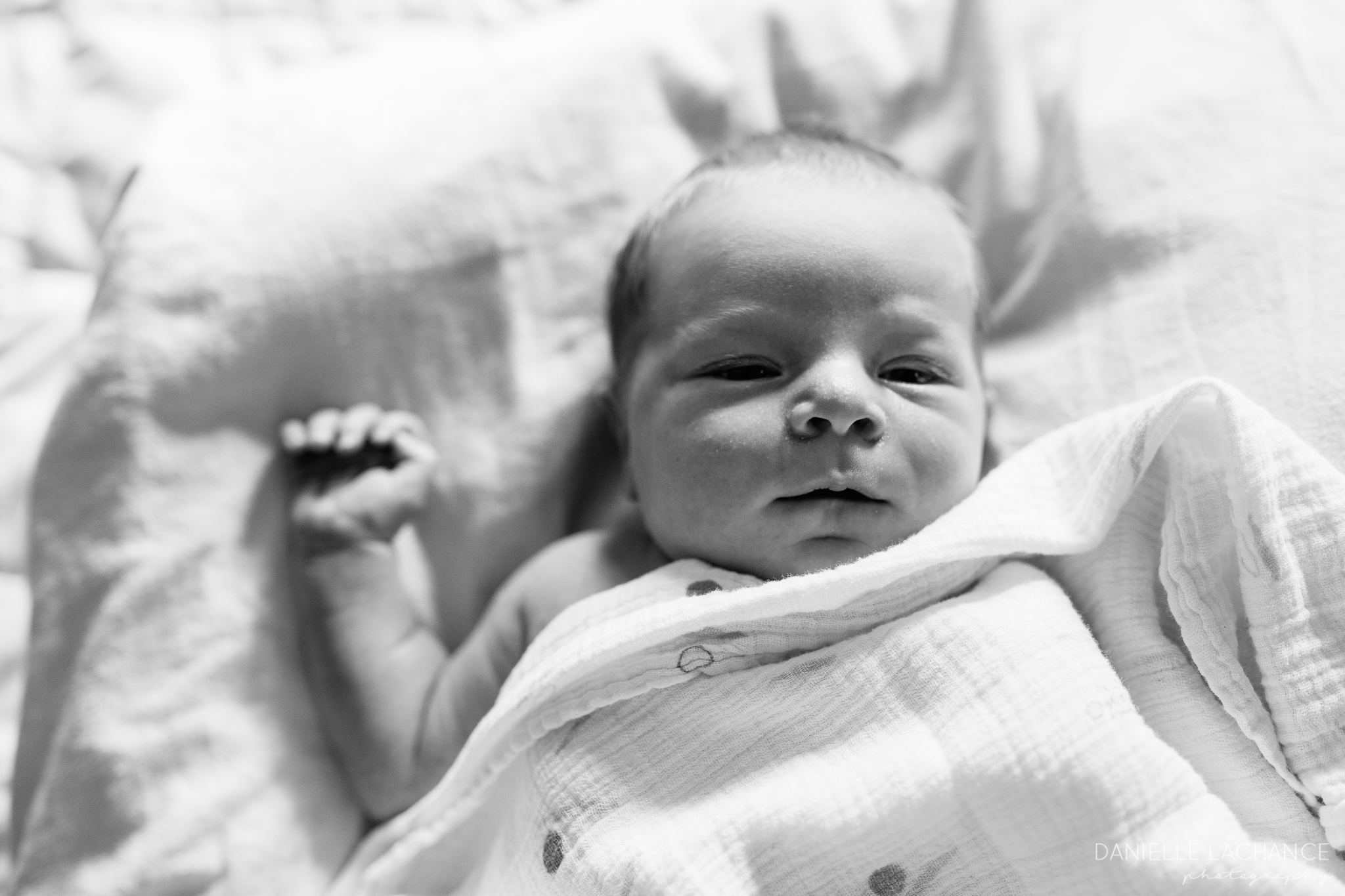 Portland Maine newborn photographer