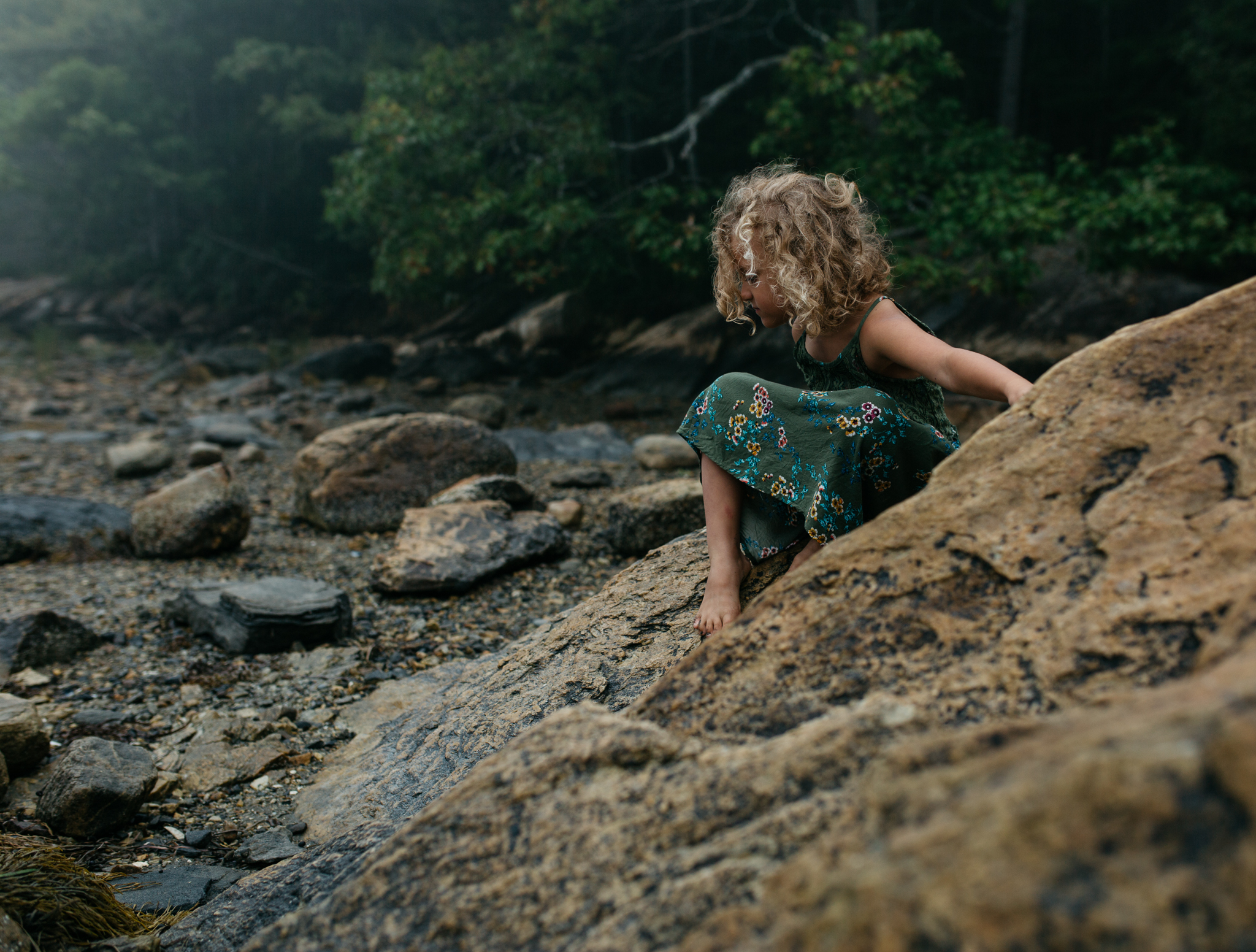 maine childhood adventure on the coast