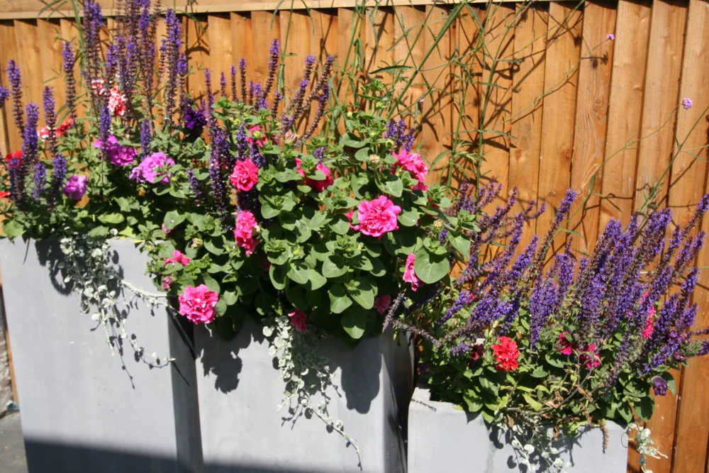 ModelProjects_Highgate_London (5).JPG