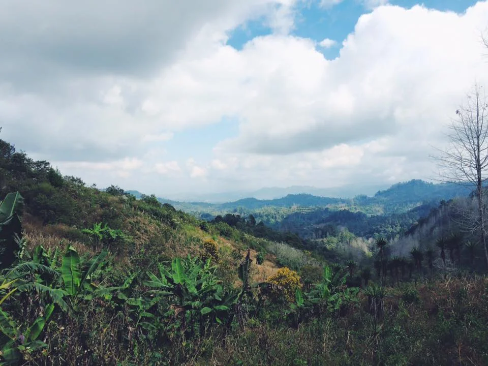 Honduras_ElTablon_6.jpg