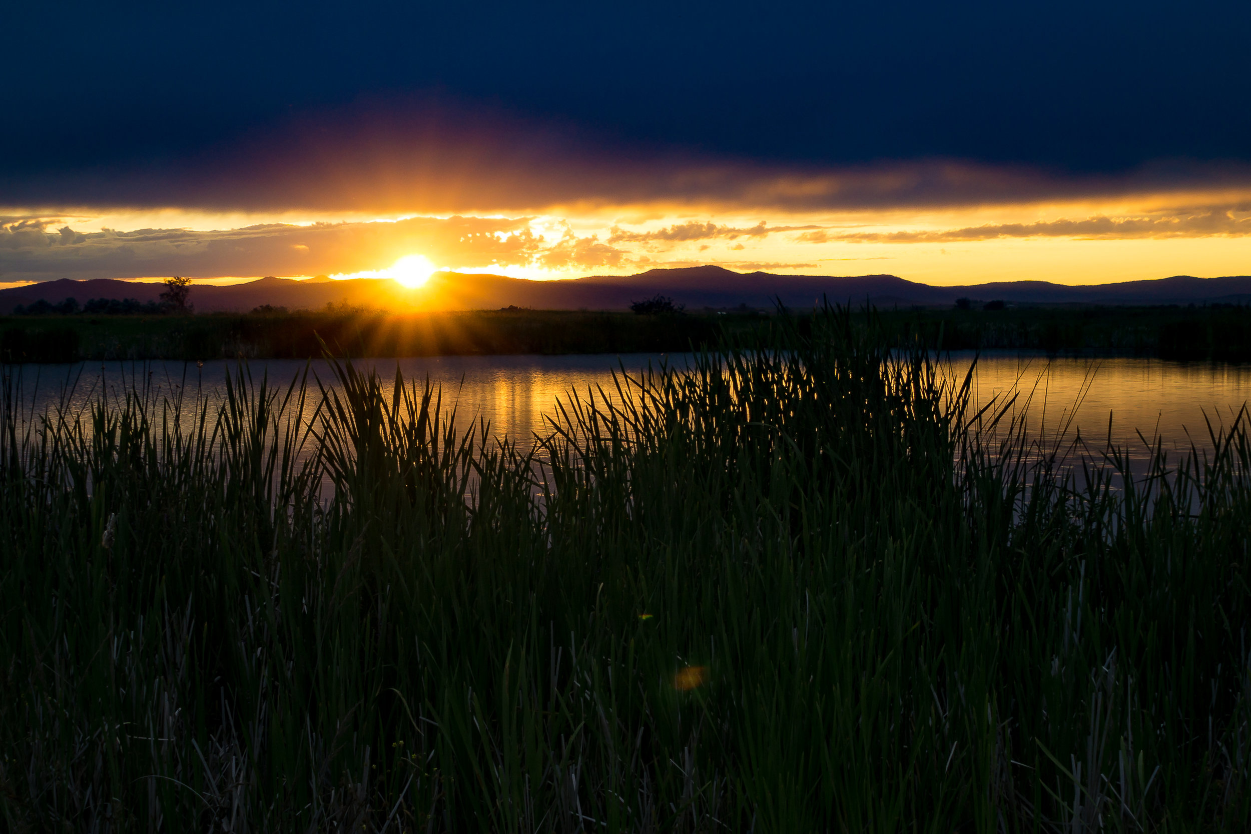 Montana_Pond_Marnie_Travis_Turtle_Creek_20160628 copy.jpg