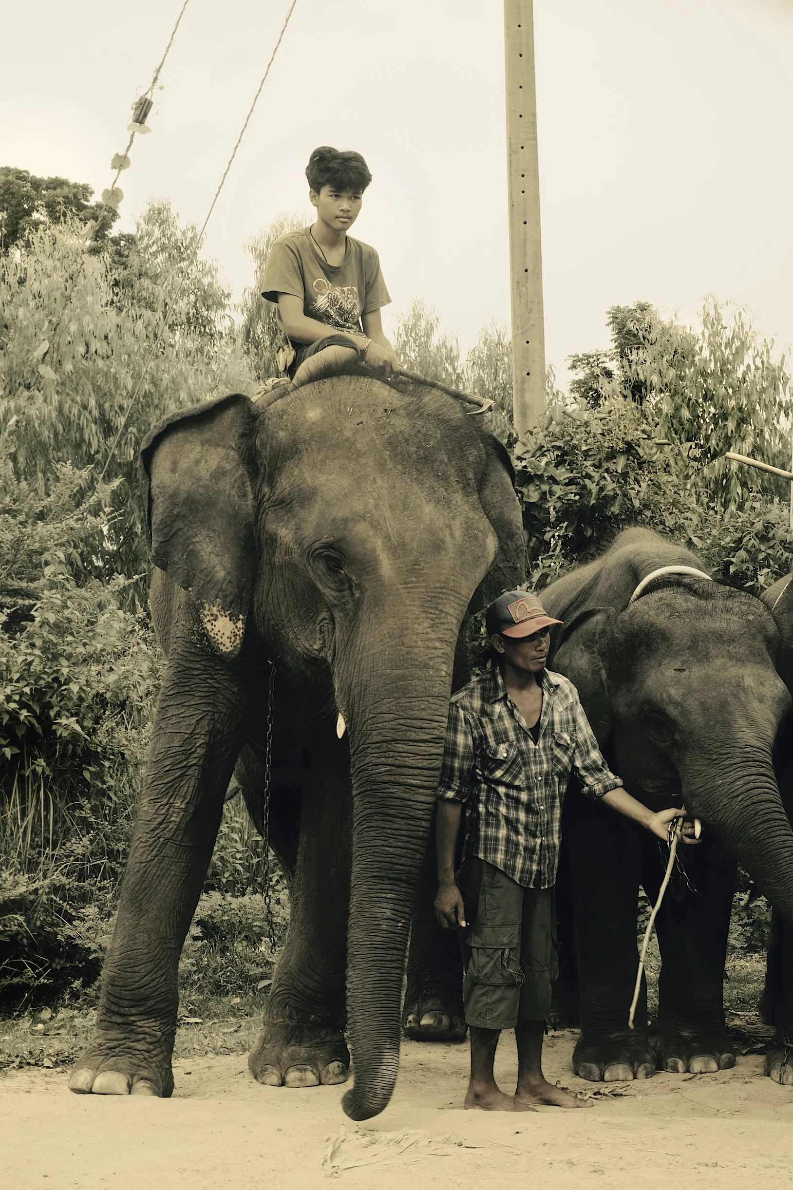 Surin, Thailand