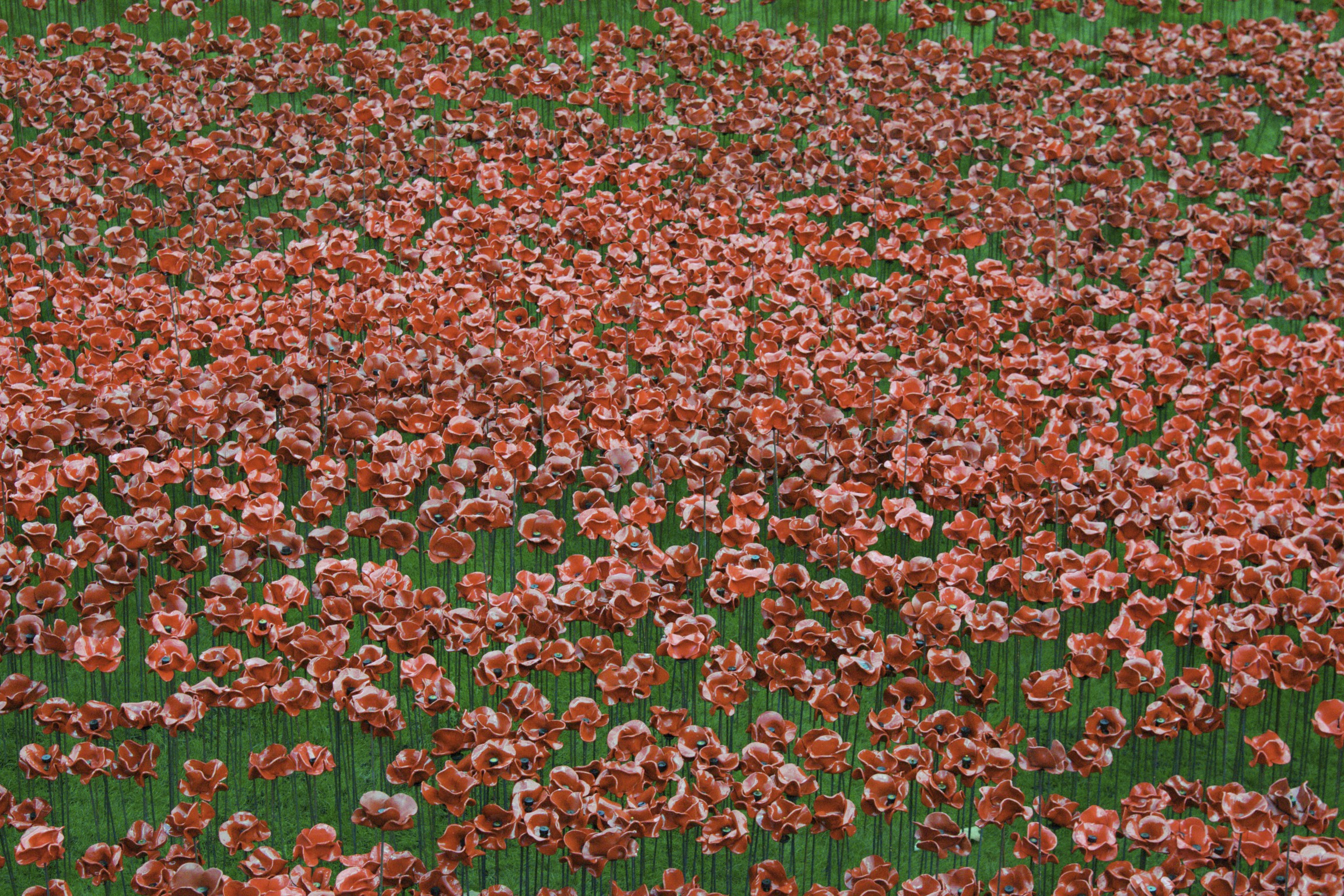  Tower of London- 888,246 poppies as each flower represents a lost British or Colonial military personnel from World War I. 