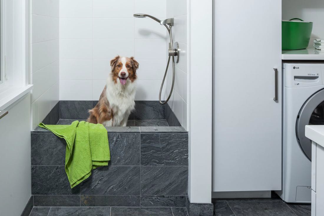  via :&nbsp; https://www.houzz.com/ideabooks/73109849/list/how-to-install-a-dog-washing-station  