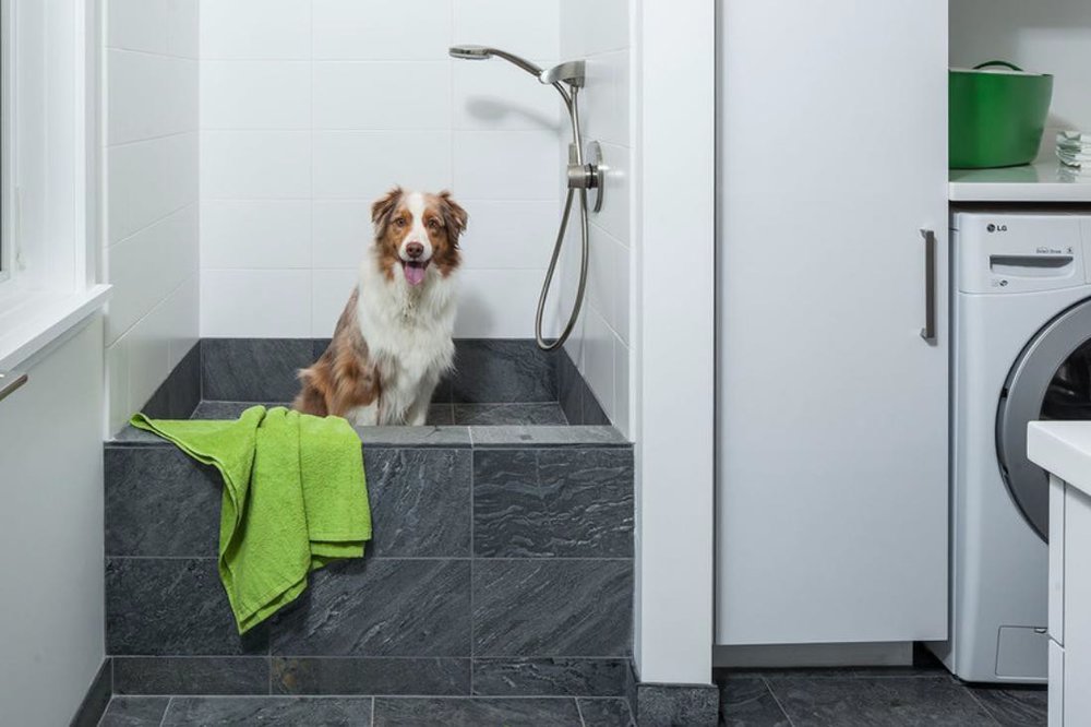  via :&nbsp; https://www.houzz.com/ideabooks/73109849/list/how-to-install-a-dog-washing-station  