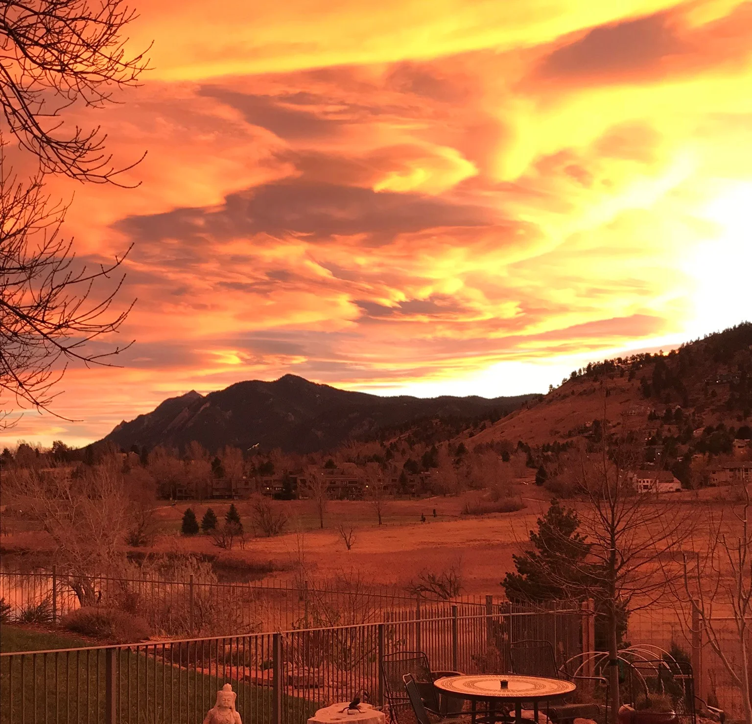 Barbee’s backyard at sunset in Boulder, Colorado.