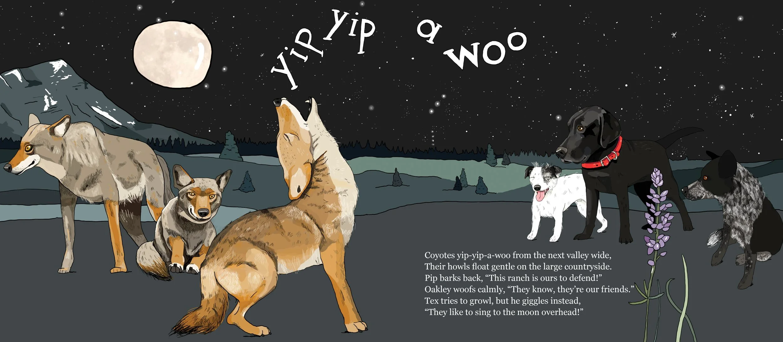 BarksAtDark 8.jpg