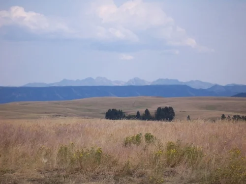 Nez Perce prairie land
