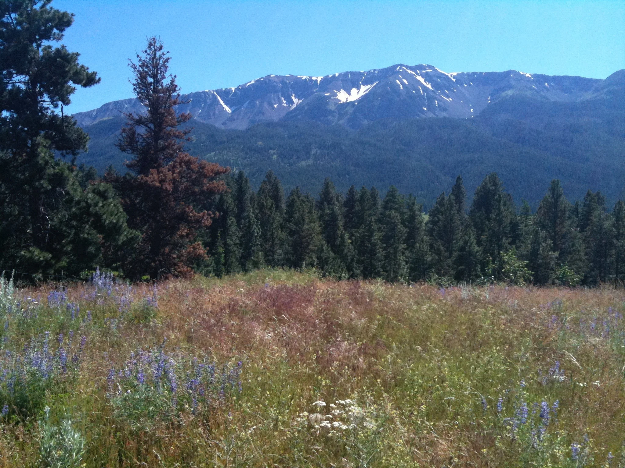 Wallowa Mountains where Joseph (Thunder Rising)'s band lived