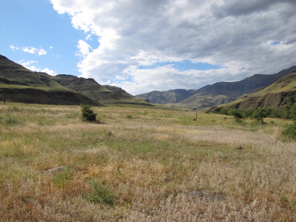 Nez Perce country