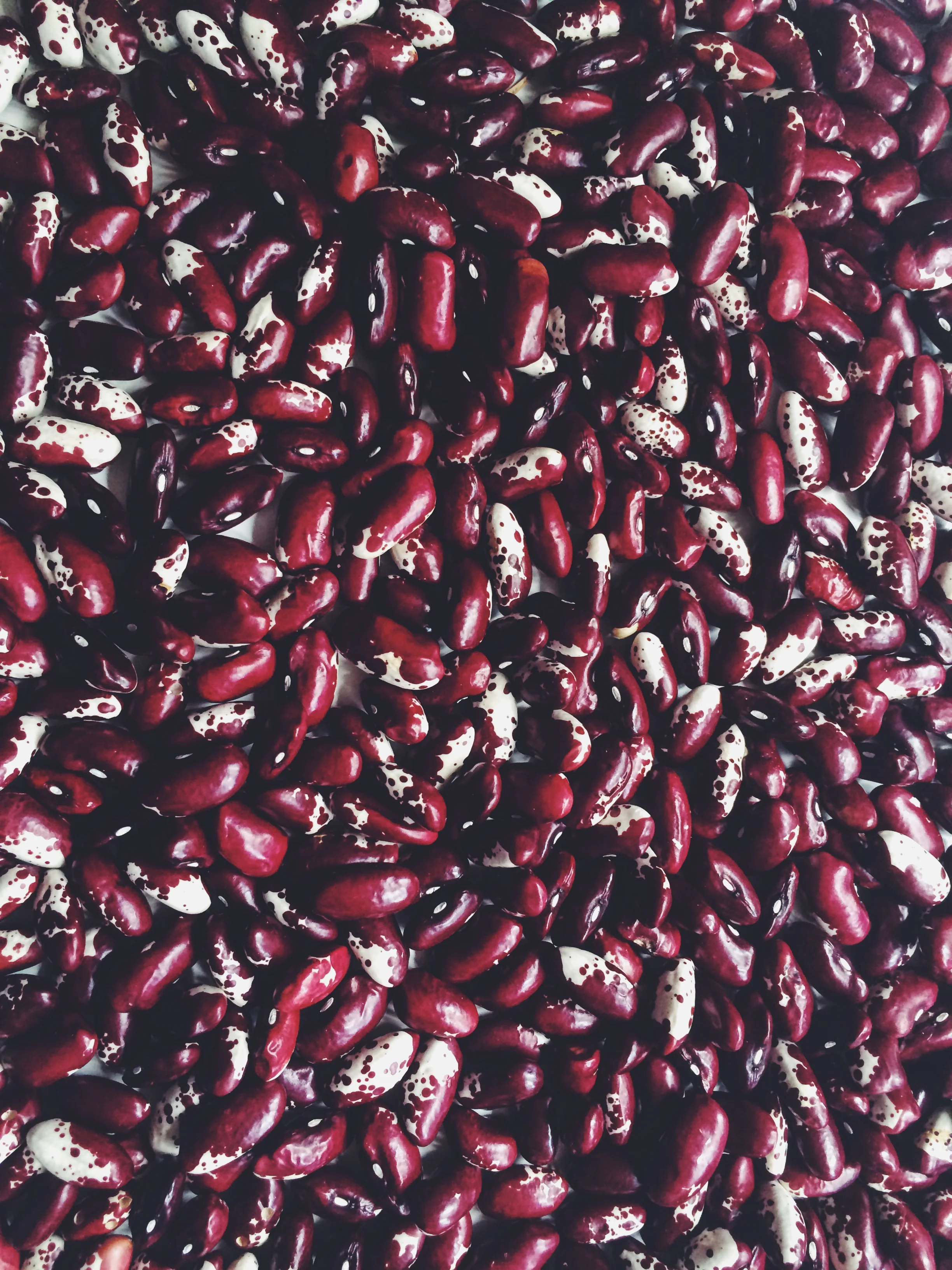 Saving heirloom beans || I fagioli dell'Orto Felice 
