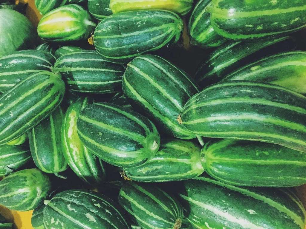 Cocomero, the Apulian local wonder || Neither cucumber nor melon