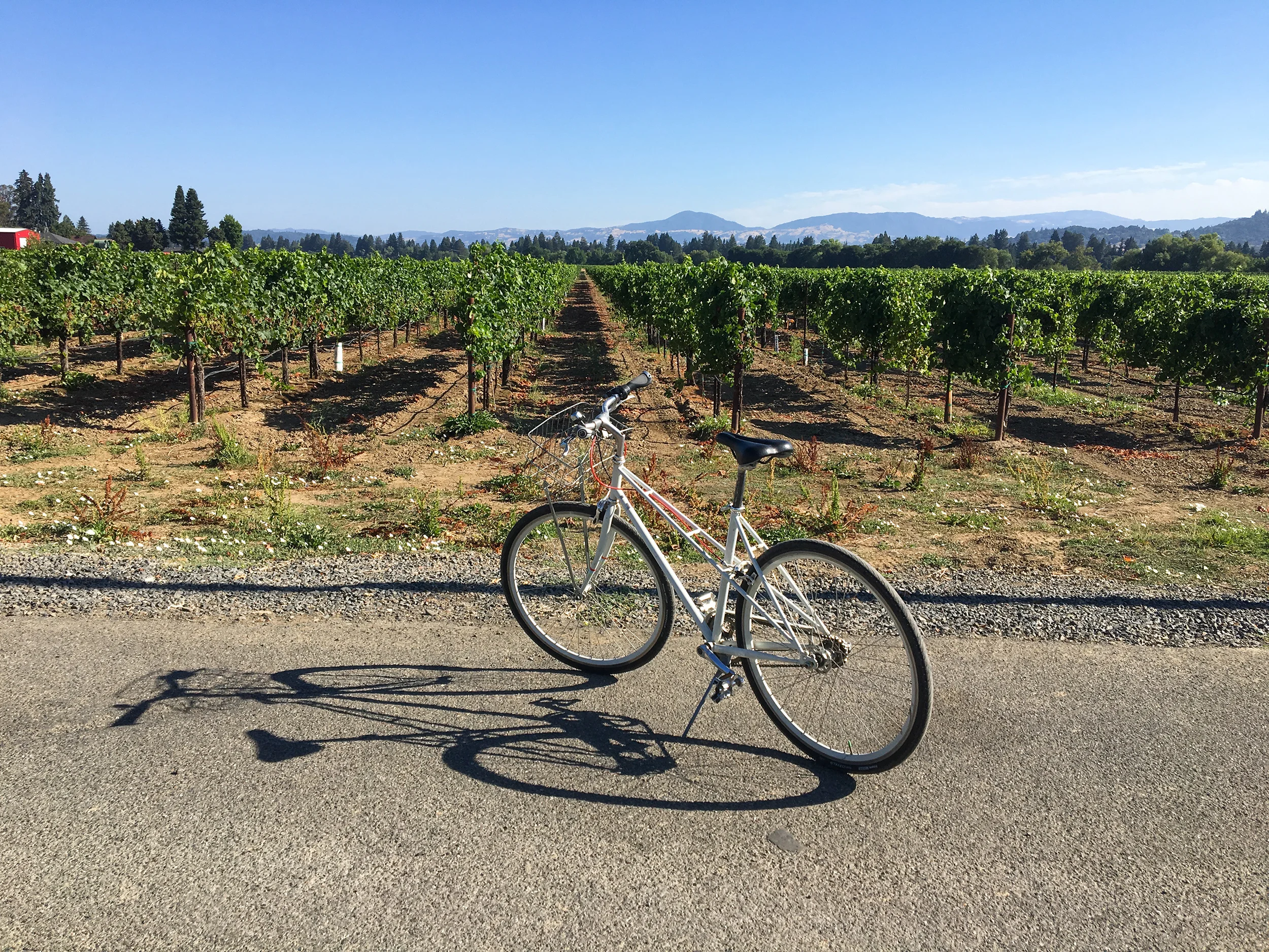 Healdsburg, CA