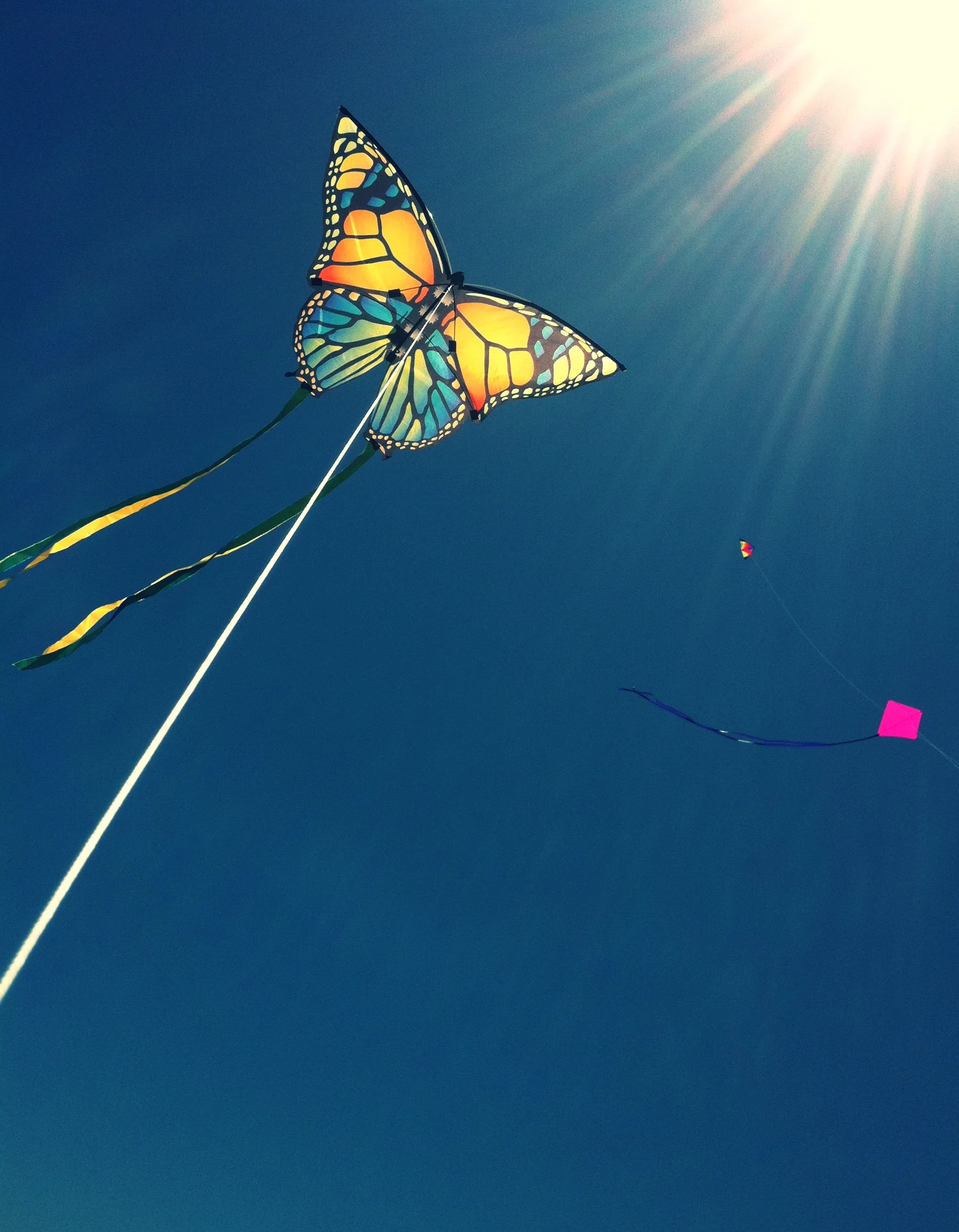 Kite