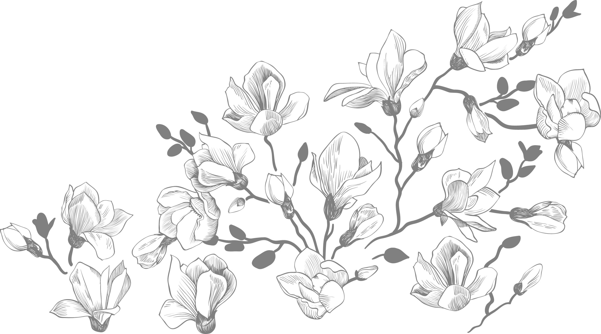 Magnolia Background.jpg