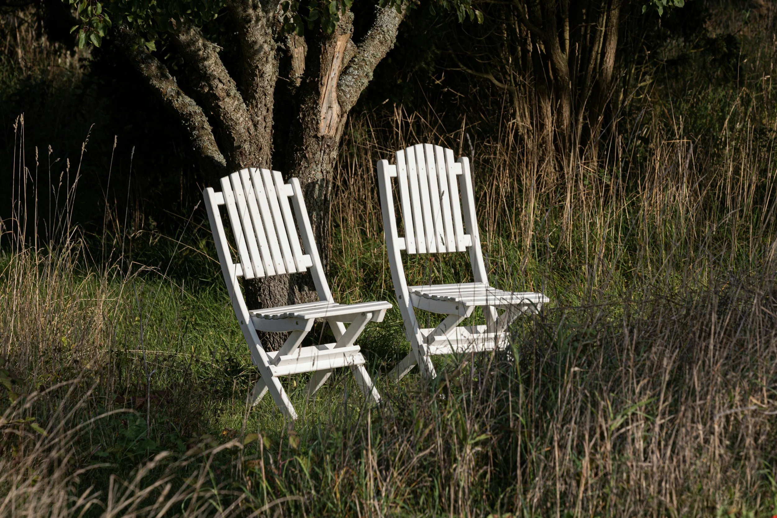 A Conversation with Millay House Rockland’s Writer-in-Residence William Torrey