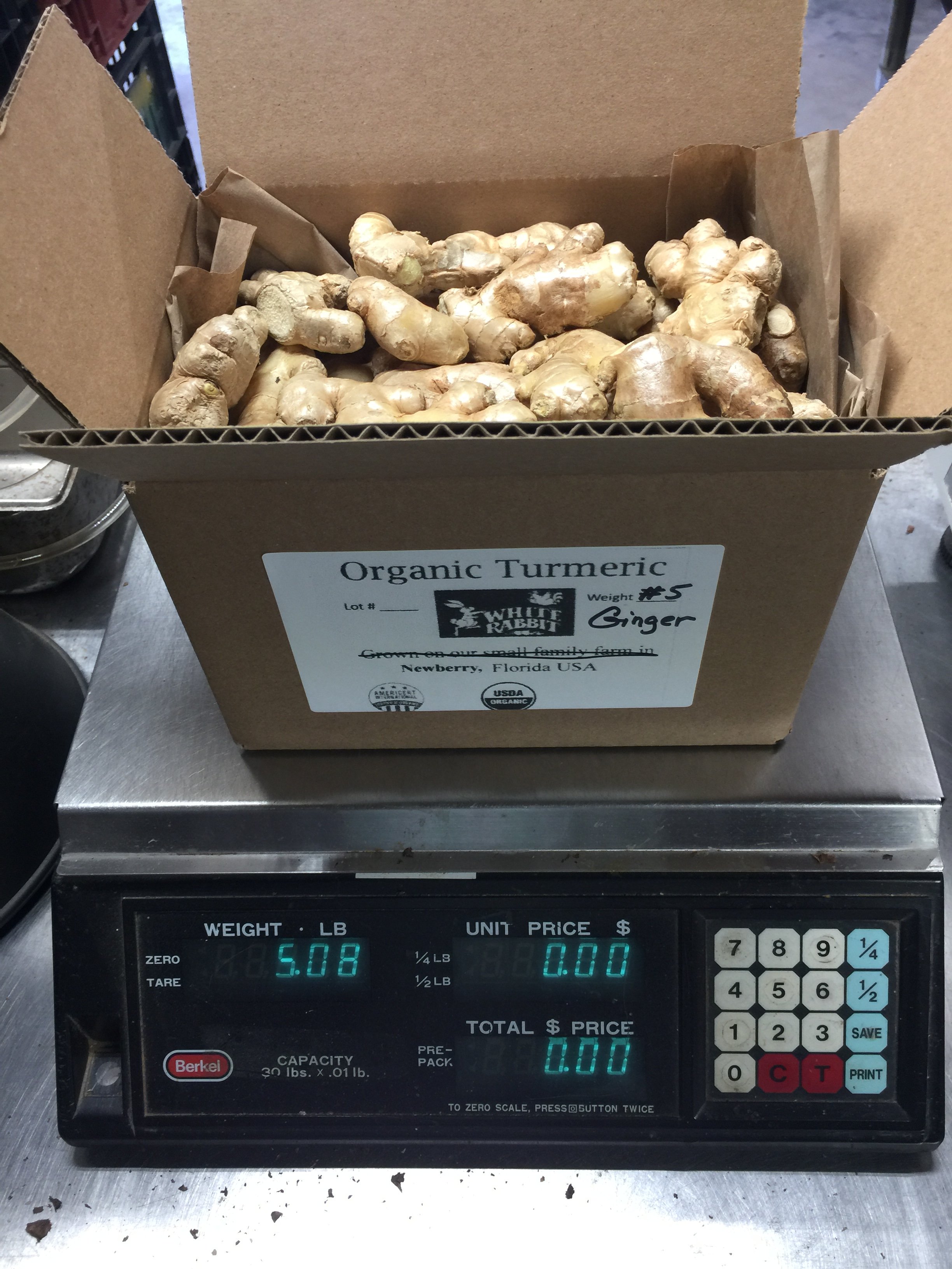 Organic Whole Ginger - 5 Pounds