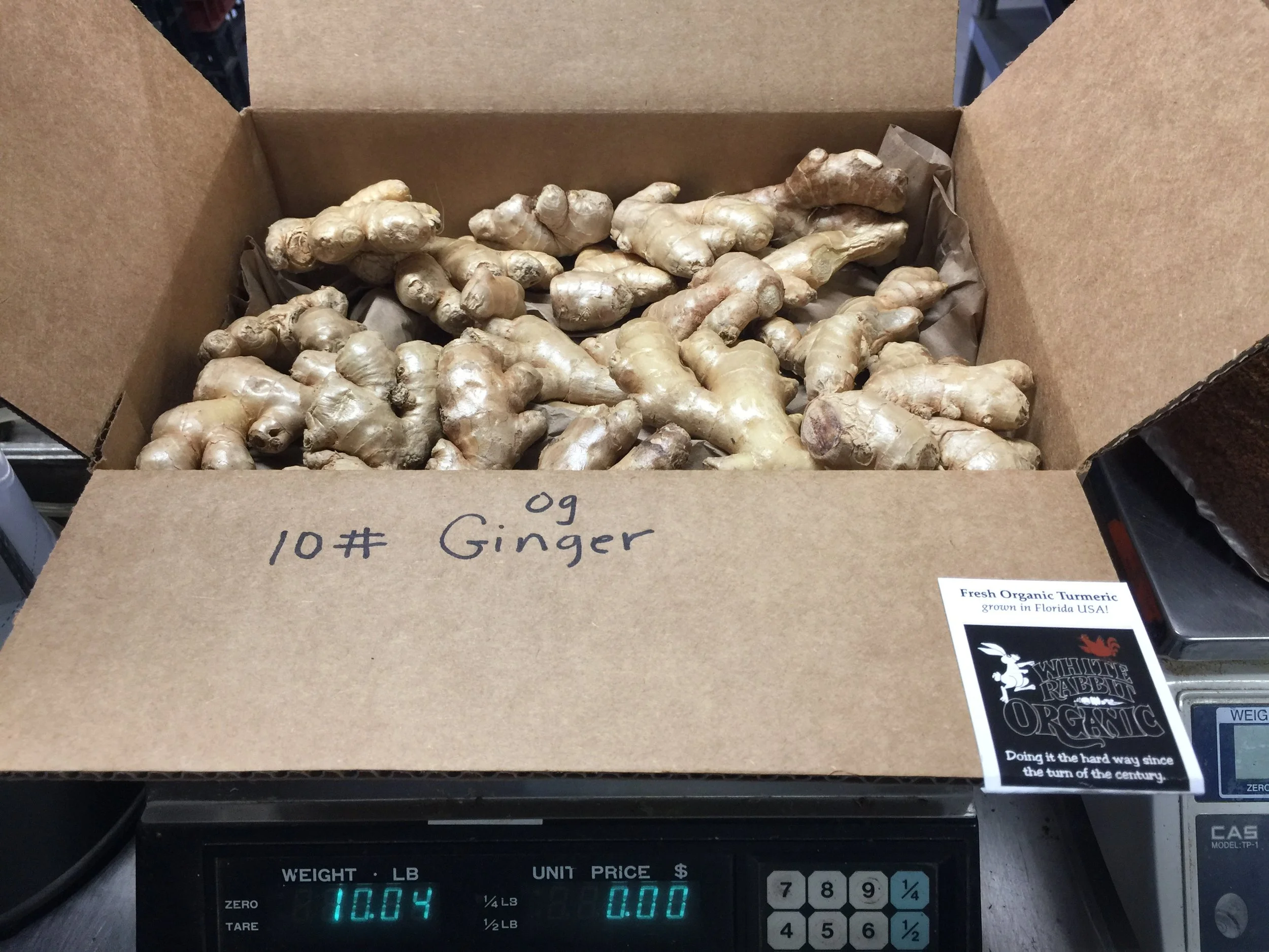 Organic Whole Ginger - 10 Pounds