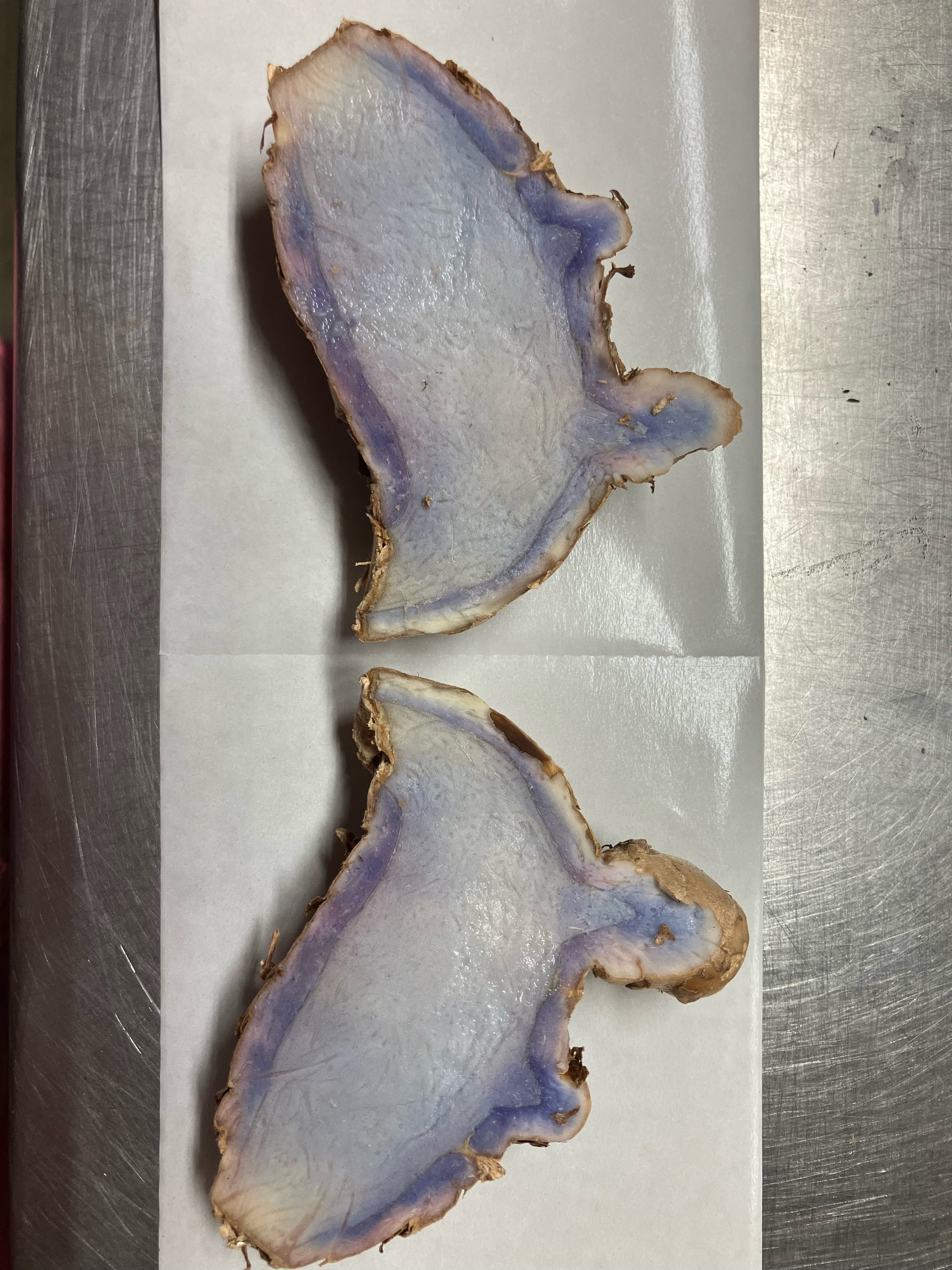 IMG_2614.jpeg (Copy)