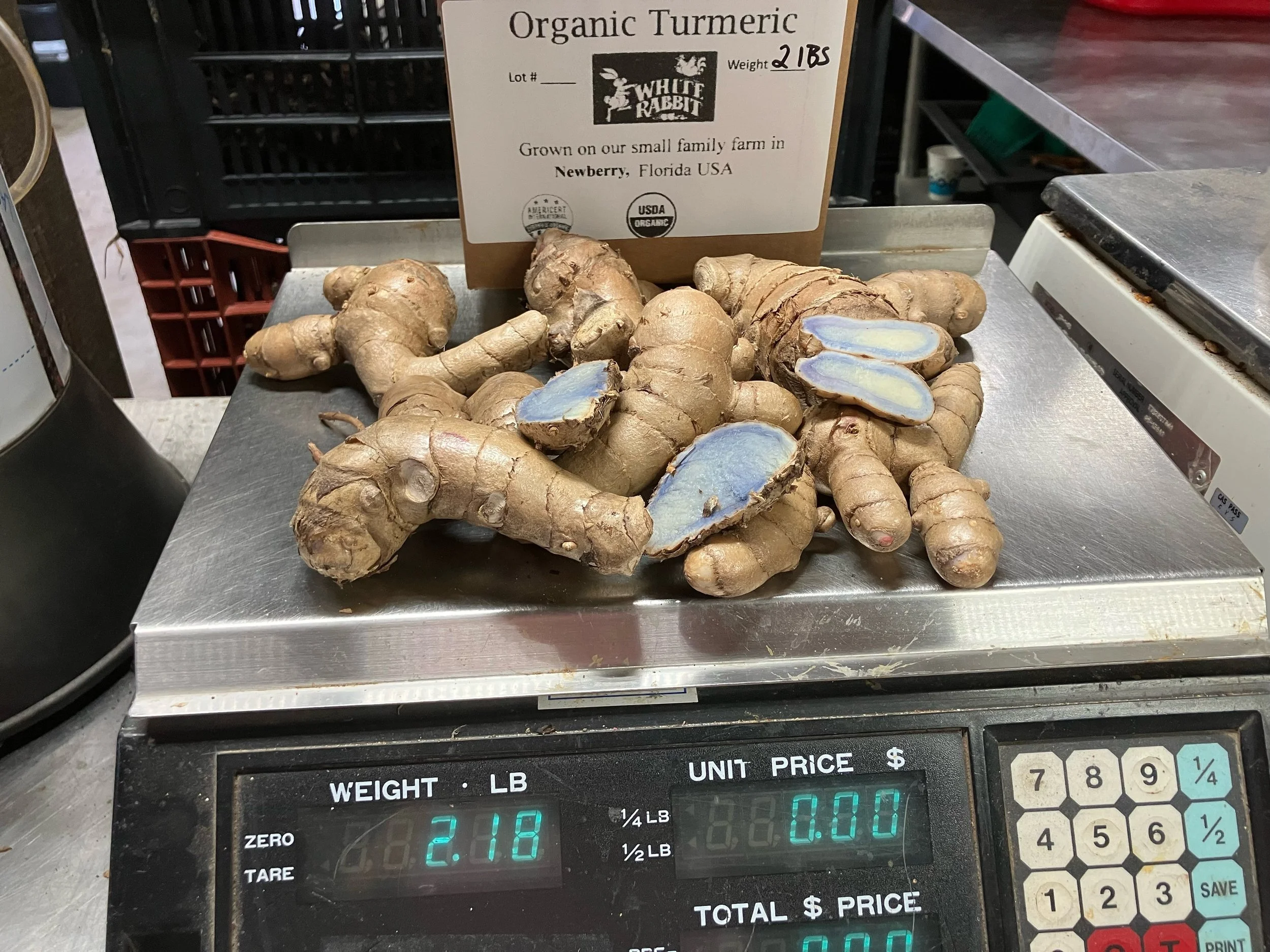 Light Blue/Purple Organic Turmeric - 2 Pounds