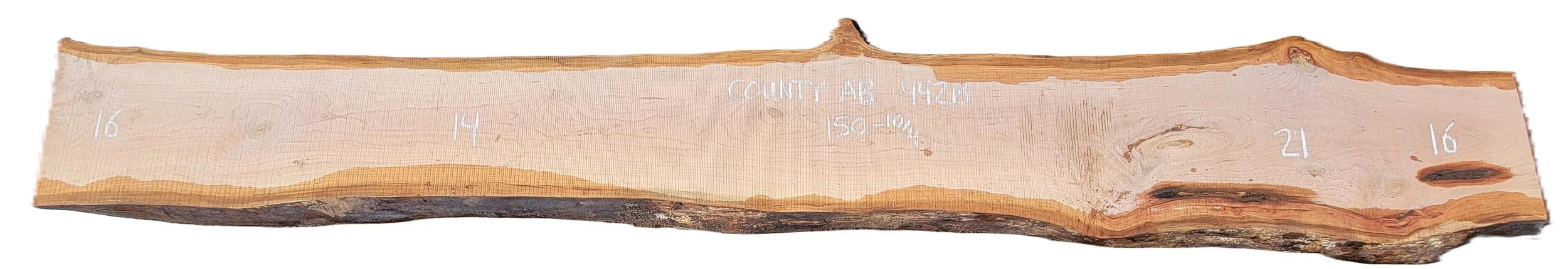 Cherry Slab County AB 442B