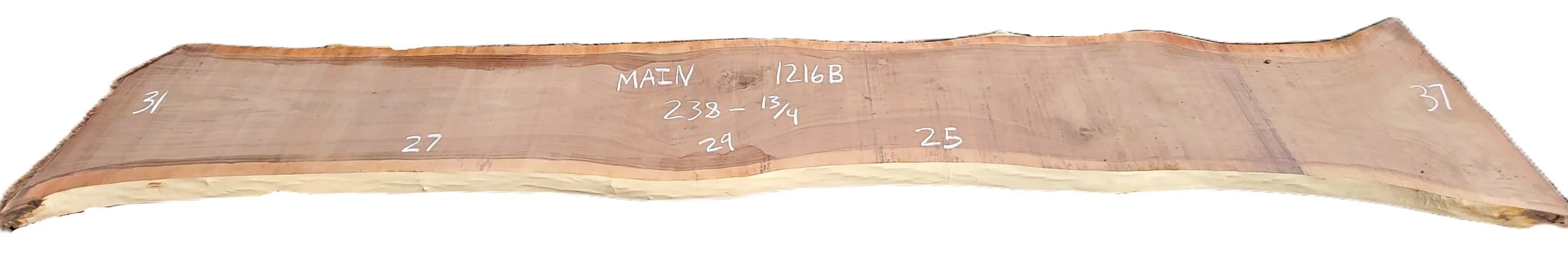 Walnut Slab Main 1216B