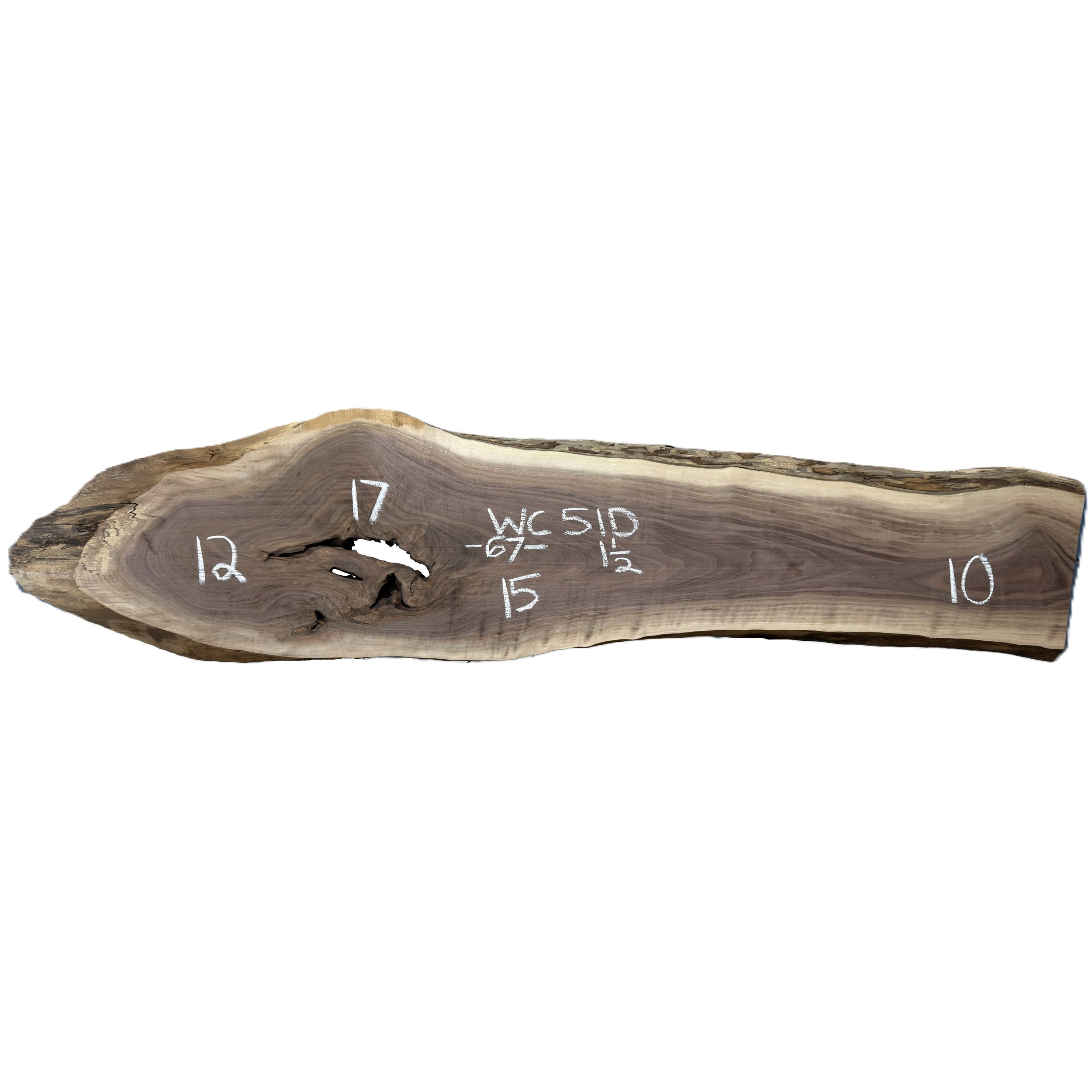 Walnut Slab Wood Cycle 51D