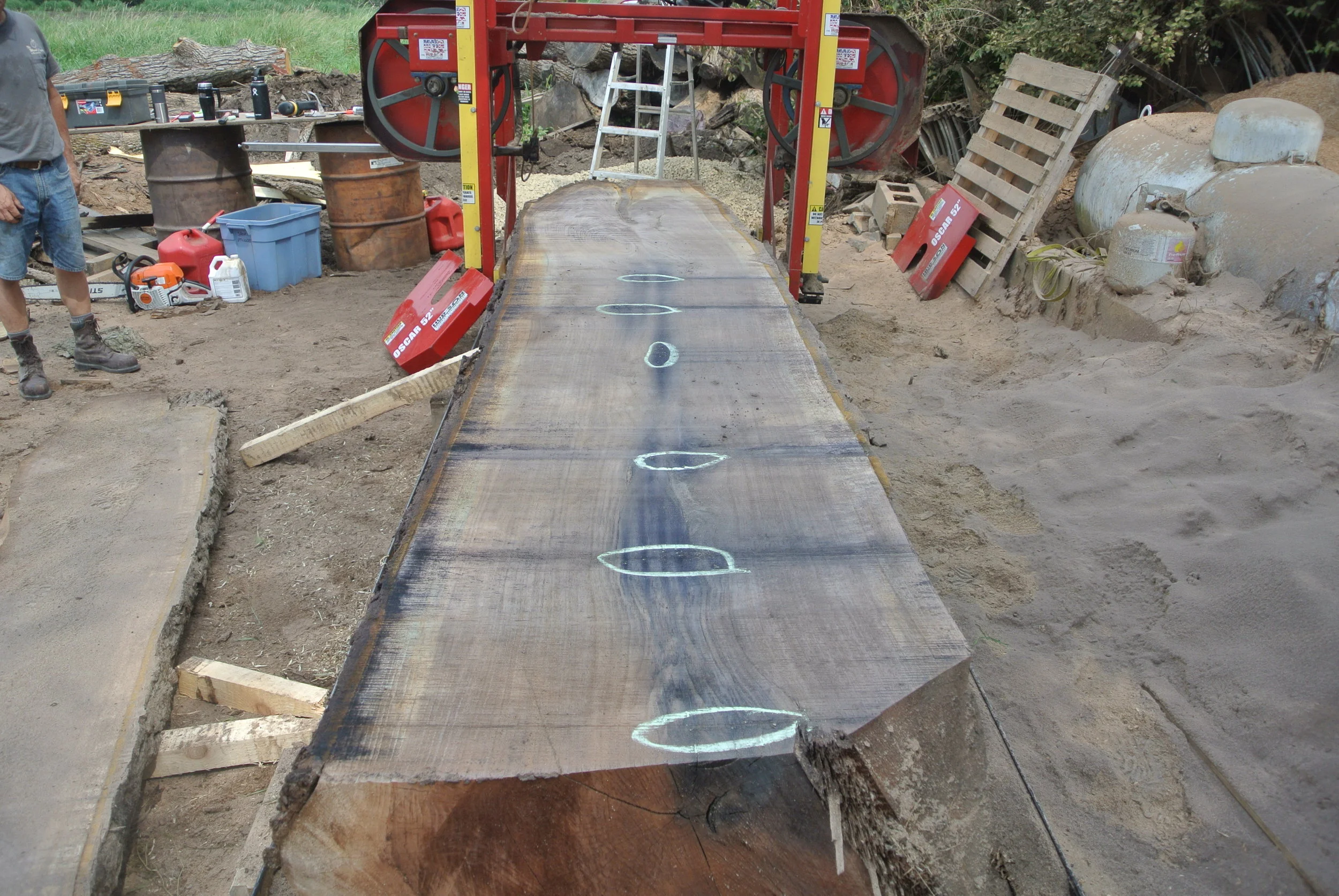 What is the Character of Urban Wood?