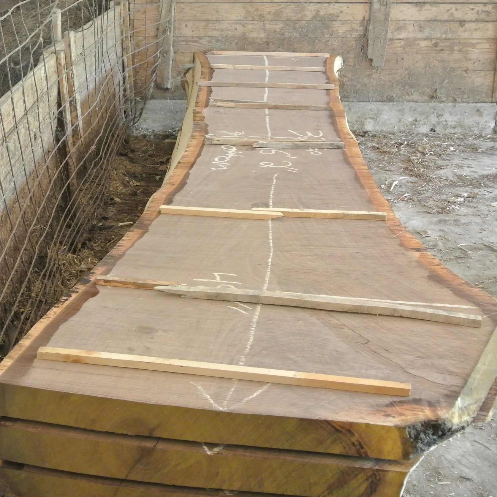 Buying Live Edge | The Top 5 Questions to Ask Before You Buy Live Edge Slabs