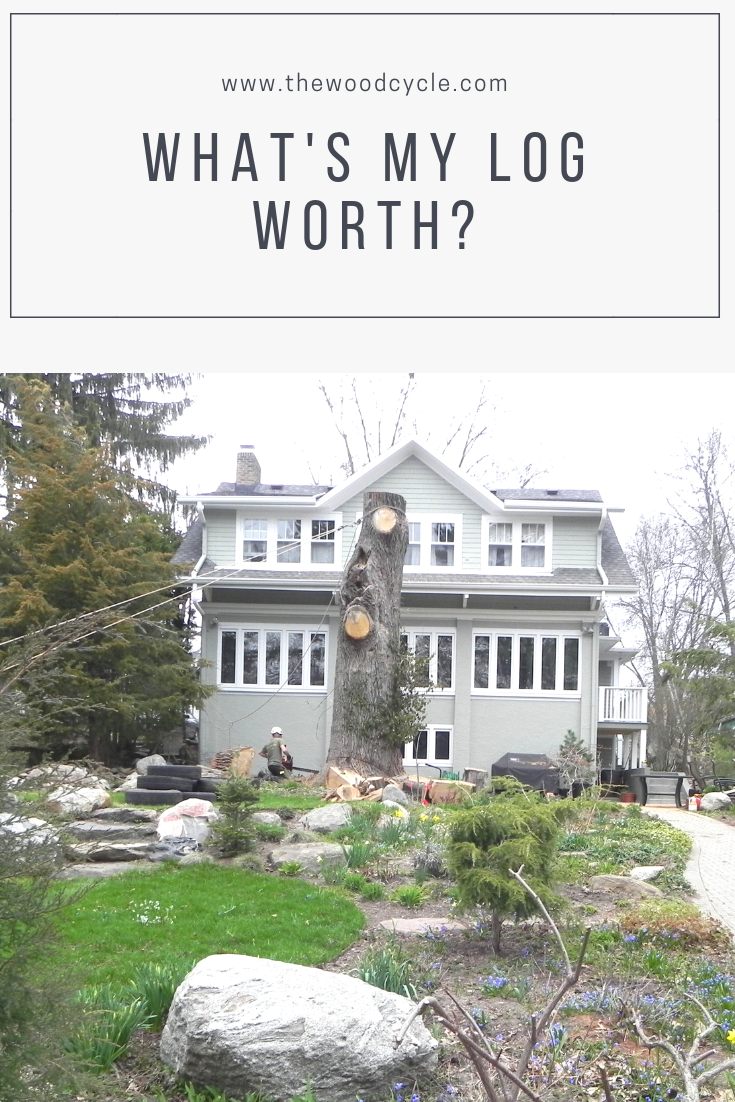 What's my log worth - MeileWood - Madison Florida